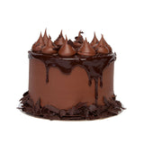 Chocolate Fudge Cake