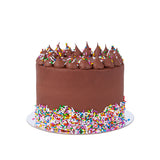 Chocolate Sprinkle Cake