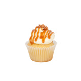 Cupcake Variety Pack