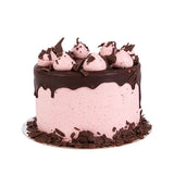 Chocolate Raspberry Cake